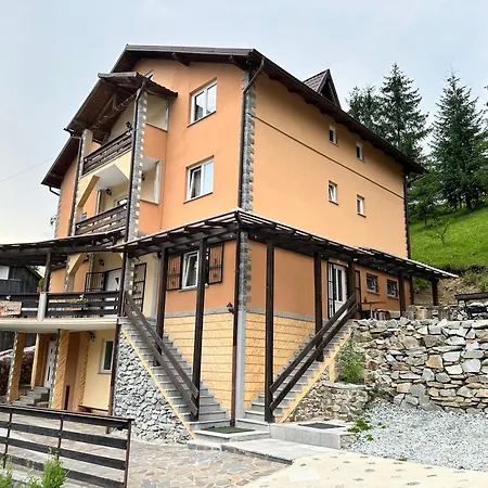 Pensiunea 3flori de Colț-3