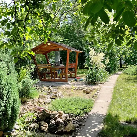 Holiday House Costinesti-2