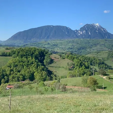 Pensiunea 7 Brazi II-2
