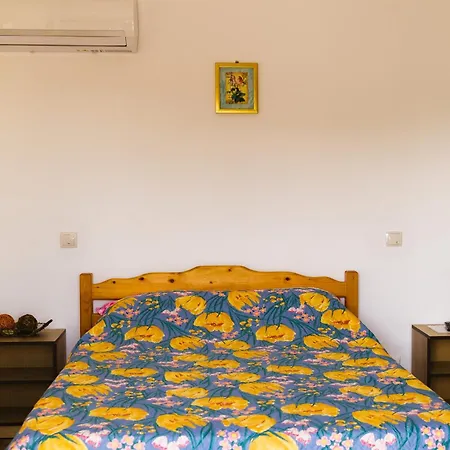 Casa Leahu-3