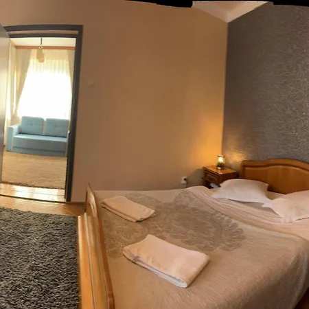 Pensiunea Denisa Stoian-3