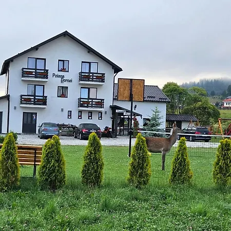 Pensiunea Poiana Dornei-3