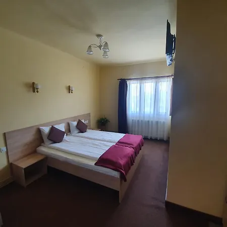 Pensiunea Leia Cârțișoara-3