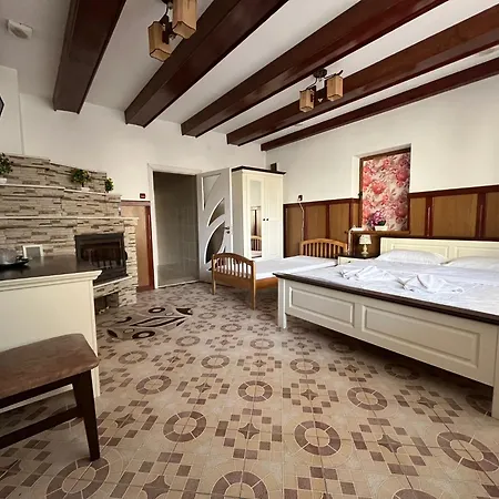 Casa Poenaru-2