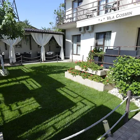 Vila Cosmin-3