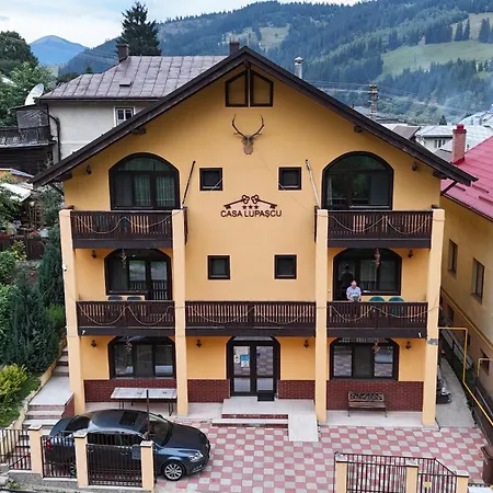 Casa Lupascu-3