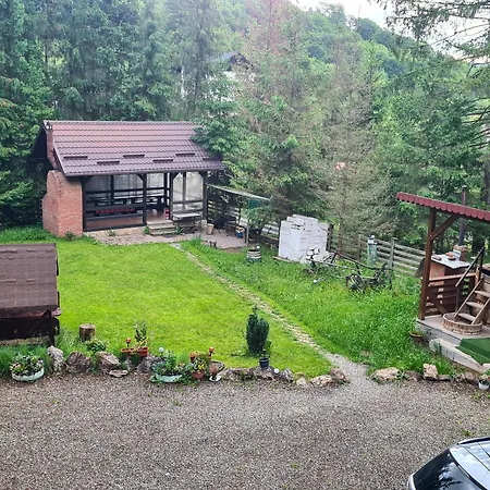 Vis De Munte-2