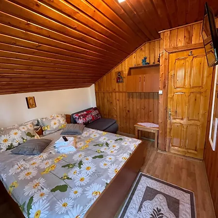 Casa de Vacanta Catrinel-2