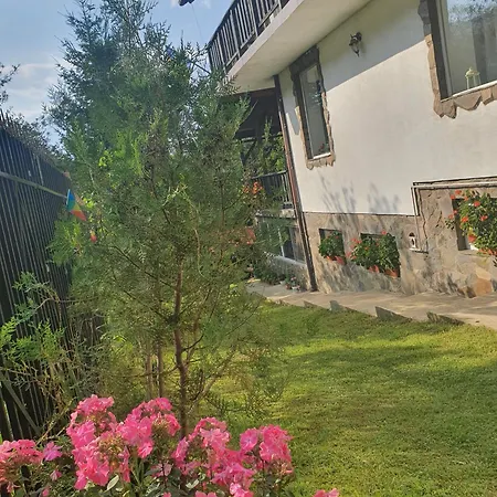 Pensiunea Capra Cu Trei Iezi-3