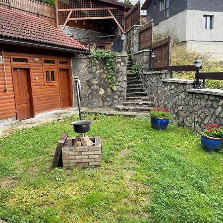 Villa Alisio Sinaia-2