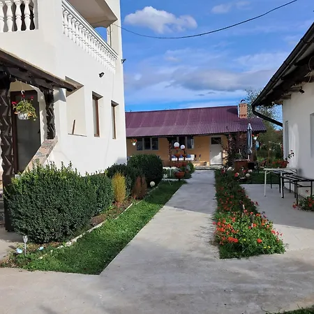 Casa Ionescu-3