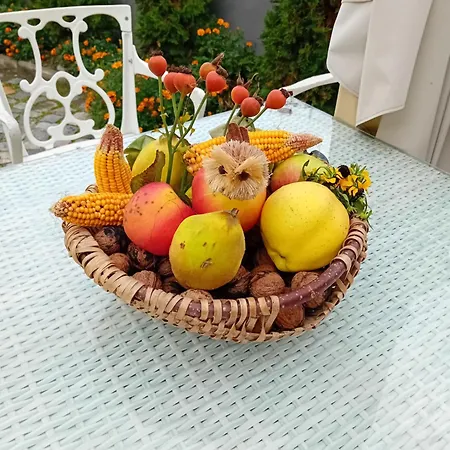 Casa Continentelor-2