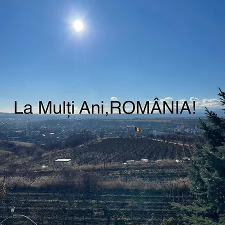 Wineyards Salin-2