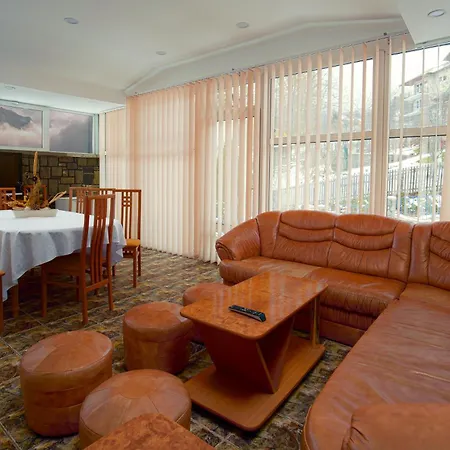 Hotel Alexandros Busteni By Genco & Restaurant Miorita-3
