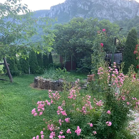 Pension Rouademunte-2