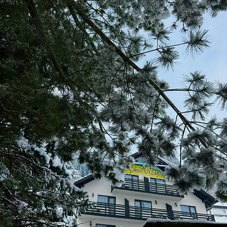 Pensiunea Orzan-2