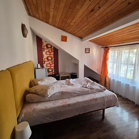 Pensiunea Liziera-3