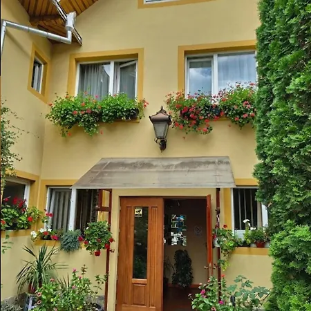 B&B Dumbrava-3
