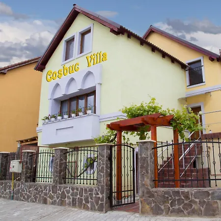 Cosbuc Residence&Villa-3