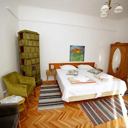 Guesthouse Casa Baciu-2