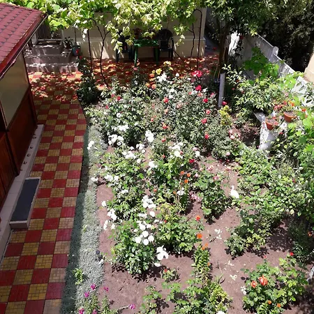 vila irina mamaia nord-3