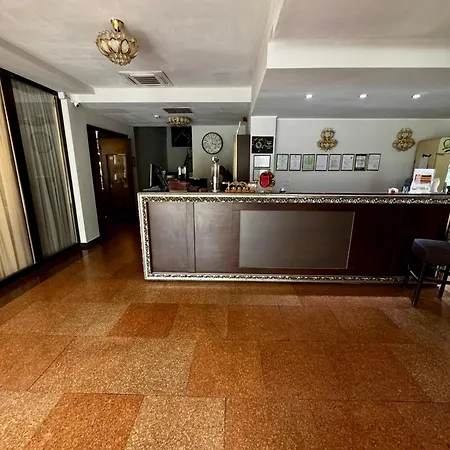 Pensiunea Casa cu Tei-2
