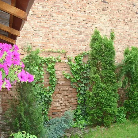 Guesthouse Daniel-2