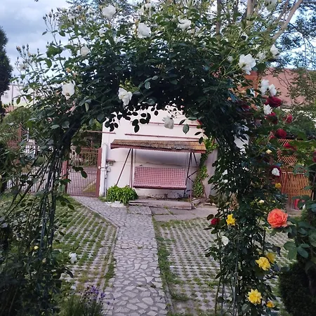 Pensiunea Sub Cetate Deva-3