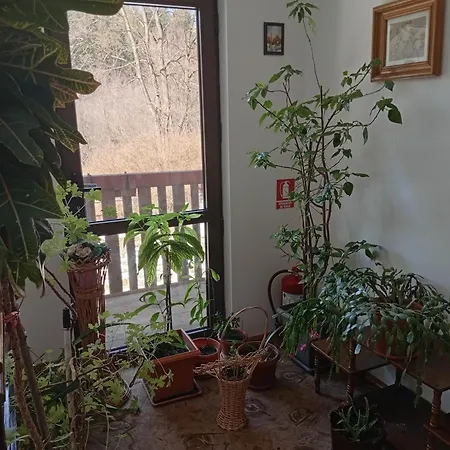 Pensiunea Casa Domniței Sucevița-2