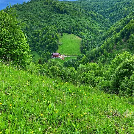 Pensiunea Valea Râsului-2
