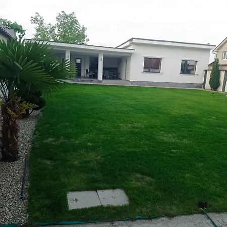 Casa Leahu-2