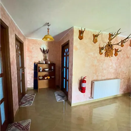 Casa de vacanța Ariana-2