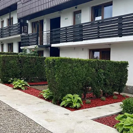 Pensiunea Bavaria Campina-3