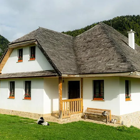 Pensiunea Hodăița-2