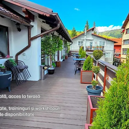 Bucegi View-3