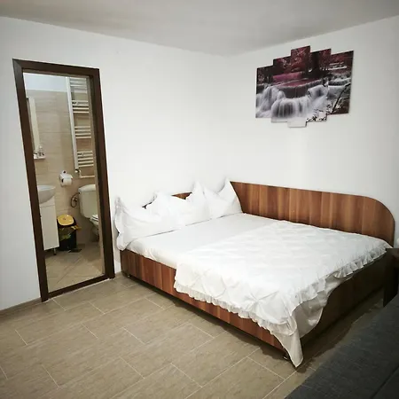 Vila Marius-camere de închiriat-2