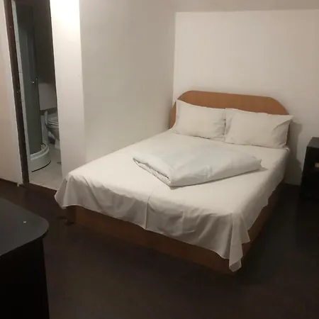 Pensiunea Residence-2