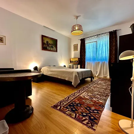 Casa Cu Smochin | House With The Fig-2