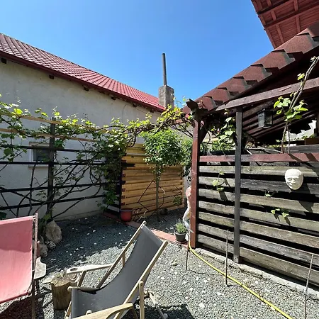 Casa Cu Smochin | House With The Fig-3