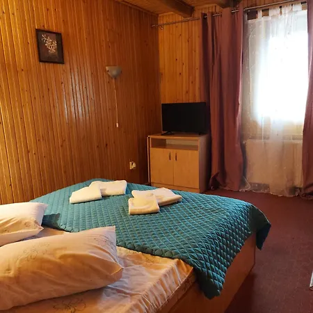 Pensiune Casa Barcaru-3