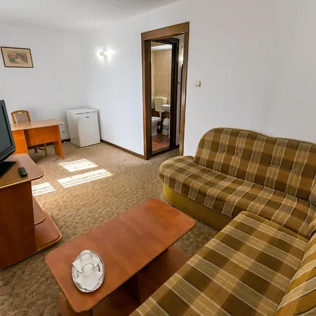 Pensiunea Turistica Europa-3