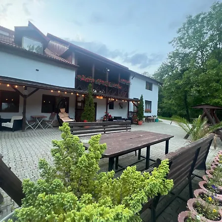 Pensiunea Broscuta-2