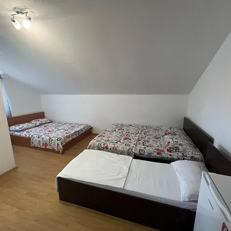 Casa Flaviu Eforie Sud-3