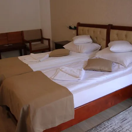 Hotel Nemira-2