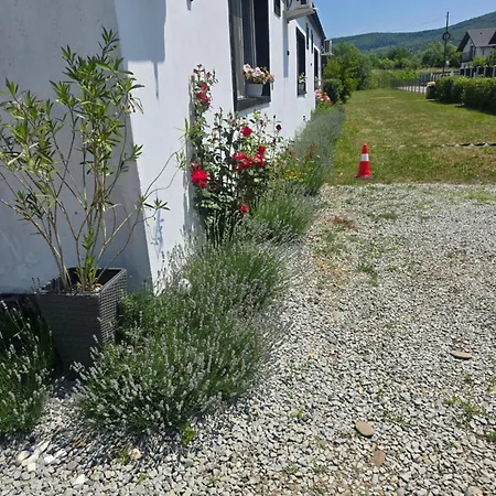 Casa de oaspeti Wallendorf Bistrita Unirea-3