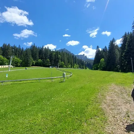 Pensiunea Montan-3