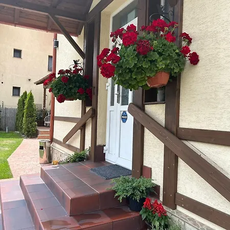 Residence Rooms Bucovina-2