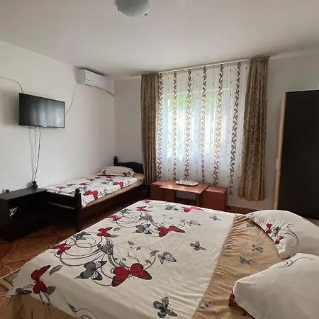 Casa Dasoveanu-3