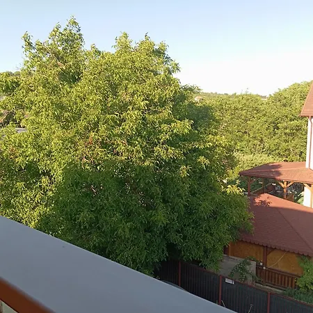 Casa Tudor Turda-2