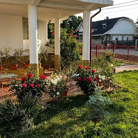Casa Blanca din COSTINESTI-2